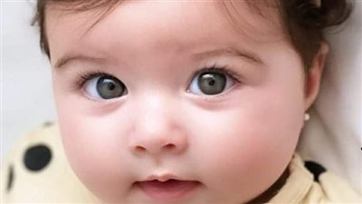 رواية قصيرة القامة طويلة اللسان الفصل الثالث 3 بقلم شيماء صبحي 