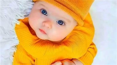 رواية ضراوة ذئب الفصل الواحد والعشرون 21