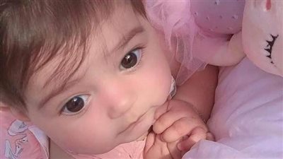 رواية عش العراب سعاد محمد سلامة كاملة الفصول 