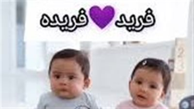 رواية فراشة في جزيرة الذهب (كاملة جميع الاجزاء)